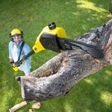 Seasonal Cleanup (Spring/Fall) in Pinedale, WY