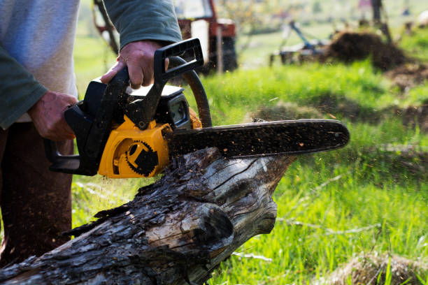Best Aeration Services  in Pinedale, WY